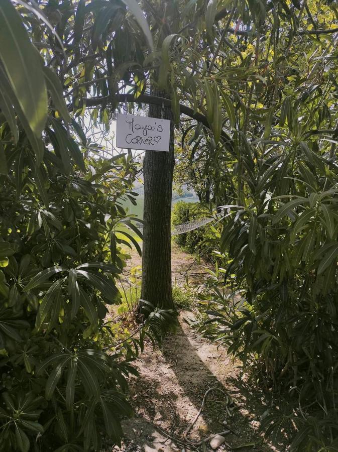 佩科拉挪乡村屋舍酒店 莫斯西亚诺·圣安吉罗 外观 照片